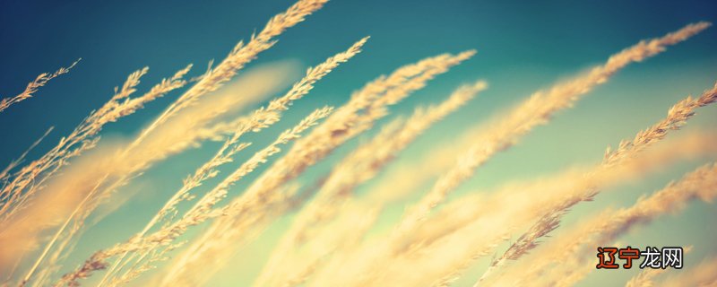 最新最火、最经典的149句文案句子等你来拿