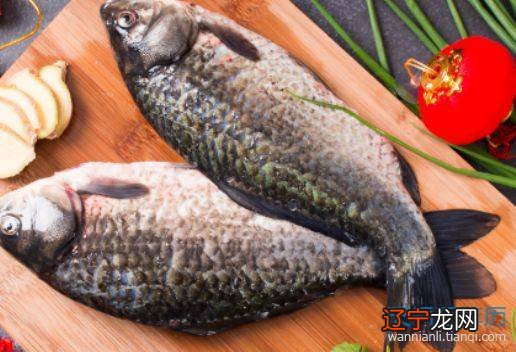 周公解梦:梦见死去的亲人给了我鱼是什么意思?