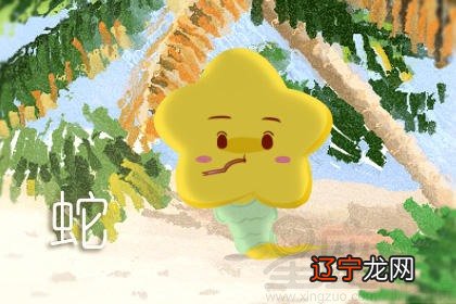 55年生属什么生肖_生90年9月属什么生肖 婚配_1954年属什么生肖五行属