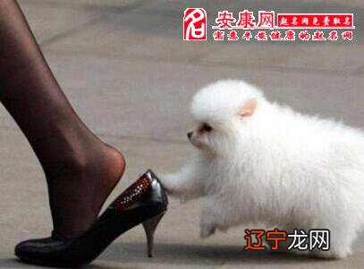 女人梦见蚂蝗咬脚底_梦见脚底脱了一层皮_梦见脚底出血