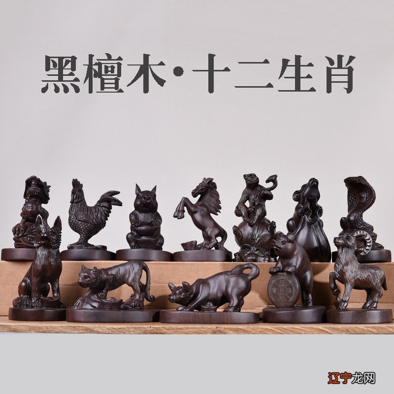 1984年出生的人属鼠并不是一个好的动物