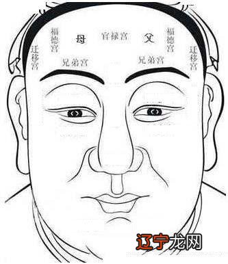 【李向东】面相算命图解大全,看你的眼睛是否大富大贵