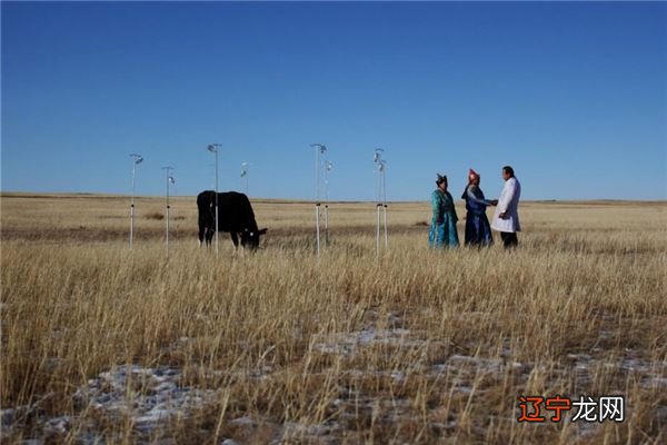 合婚秘诀图解 人生一世草木一秋，一生运势起伏不定，都有哪些不同的人生呢？