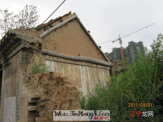 爆井屋海胆饭多少钱_井伊直虎无惨猫屋 39p_梦见屋中有井