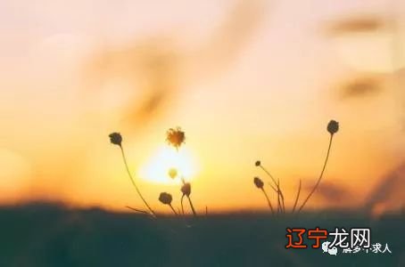 梦见老人掉牙齿_梦见掉牙_梦见父亲掉牙_梦见父亲掉牙相关