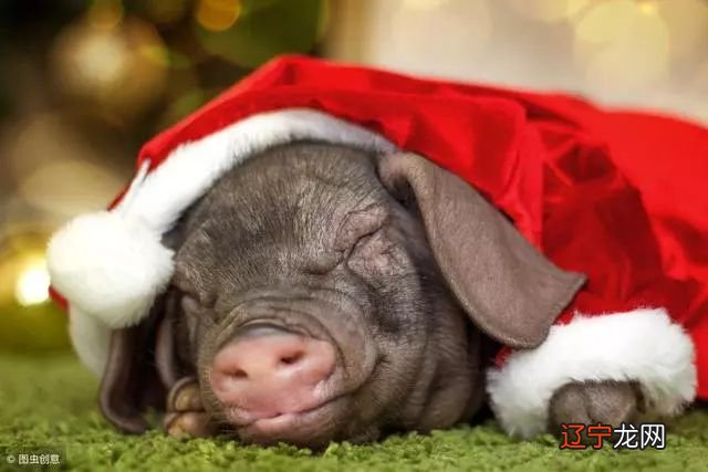 1971年出生的生肖，那才万事顺意，晚年享尽荣华富贵