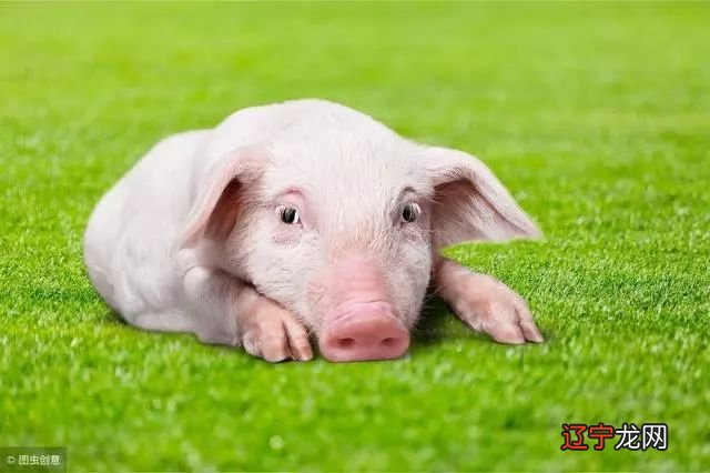 1971年出生的生肖,那才万事顺意,晚年享尽荣华富贵