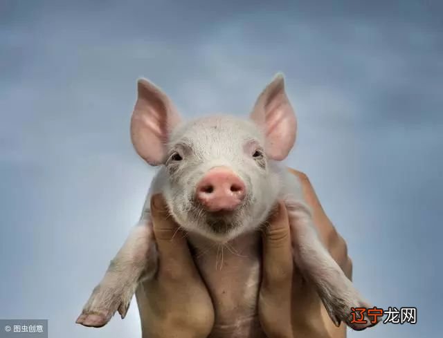 1971年出生的生肖,那才万事顺意,晚年享尽荣华富贵