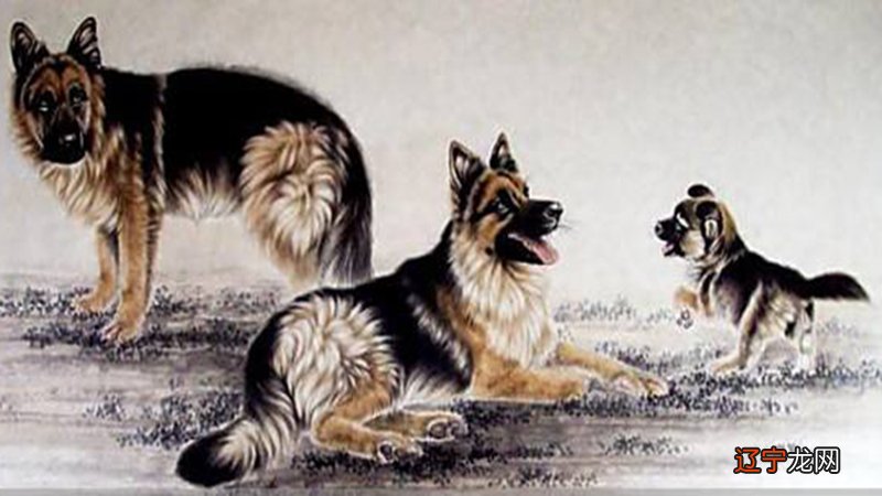 属狗人与属马的配对是很好的吗?