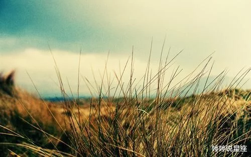 三大水象星座遇到爱情会怎样?会计0入门到精通