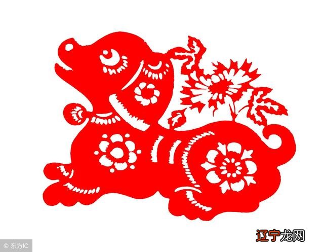 2018是你的财政年度，将能够赶上48年的生肖