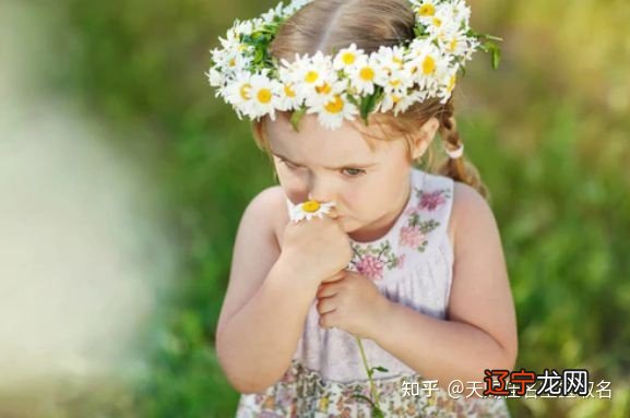 2022年女孩取名字_女孩名字属羊女孩名字大全2015最新版_女孩名字2022