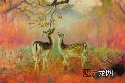 组图 慈世堂：梦见鹿是来是什么征兆？