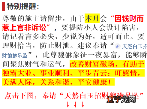 生肖属鸡的人财运_1993生肖鸡五行属什么_属鸡的可以带鸡生肖吗