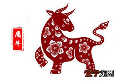 十二生肖中属牛的人2019年运程中的下半年运程如何