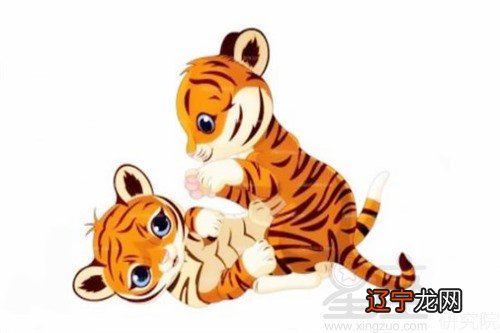 1986年虎五行属什么_1981男鸡1986女虎婚配_1986年 生肖属虎的女婚配