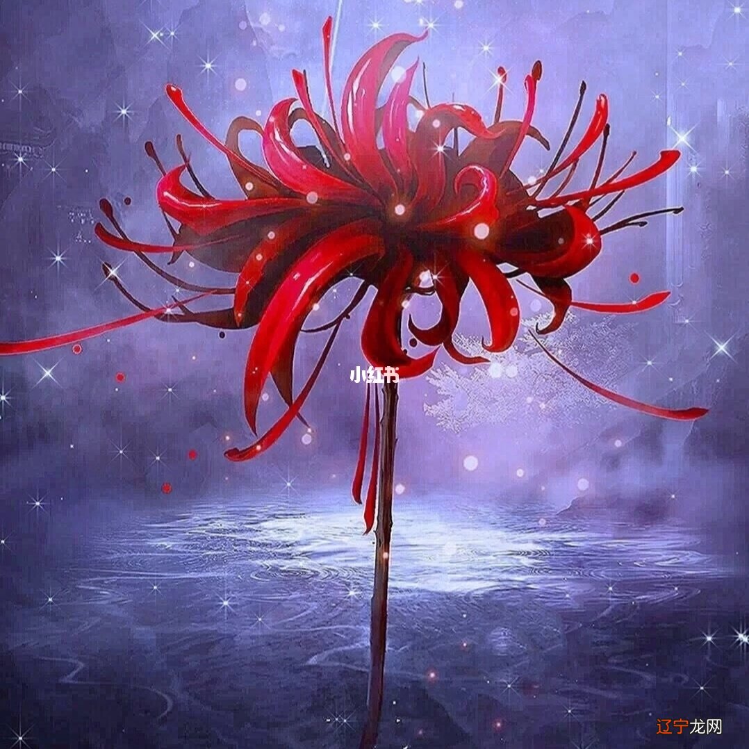 彼岸花花开不见叶，见叶不开花，那你知道彼岸花代表什么星座吗