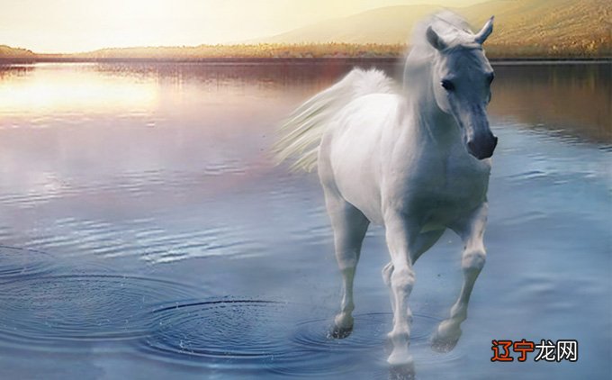 属马人2022年运势及运程详解