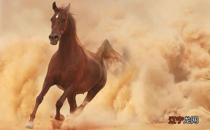 生肖属马人2022年运势及运程详解预测:进入2022属马人