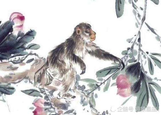 生肖猴今日运势_属猴4月生肖运势_12月10日属什么生肖运势