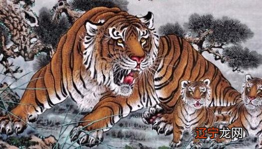 生肖虎属相婚姻配对_男虎的婚姻属相配对_生肖配对属相配对查询