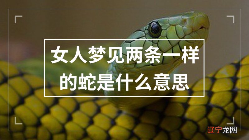 组图 要是女人梦见蛇缠身的梦境解析出行的女人