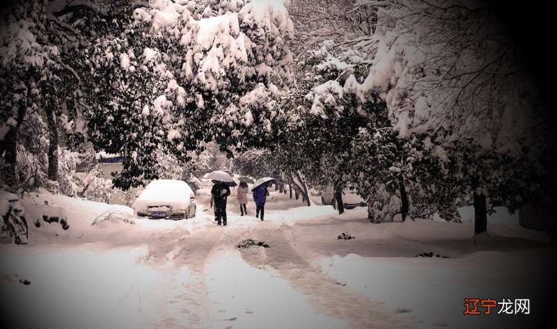 孕妇梦见大雪很厚_梦见刮大风下大雪_商人梦见大雪