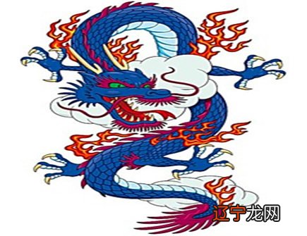 生肖龙生同属相宝宝好不好_生肖虎和猴夫妻生什么生肖宝宝好_龙妈妈生马宝宝好