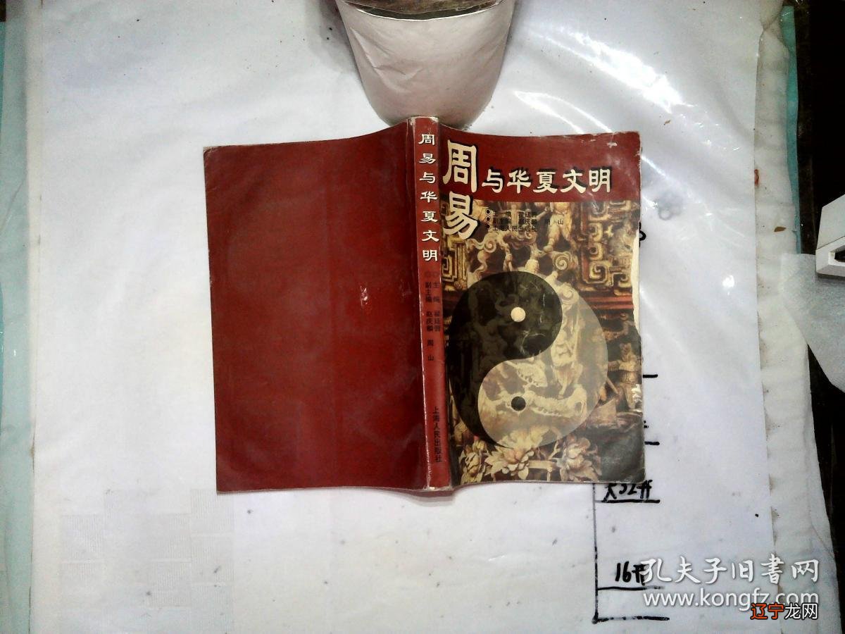 术数在国外的发展_西方近现代数学的发展_数与术的关系