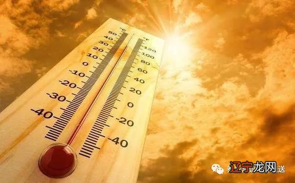 梦见藕萝卜_萝卜里面构造和藕一样_孕妇梦见自己挖很多藕