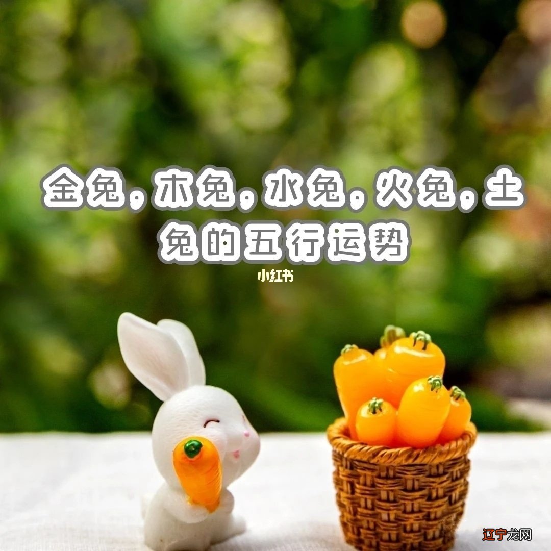 1954年属什么生肖五行属_1974年属什么生肖五行是什么_兔年12月27日五行属什么生肖