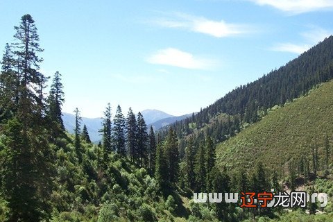 慈世堂:梦见山塌了,暗示你的生活很困难