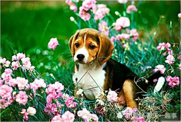 11月1号开始好运惹不起,横财发千万的三大生肖