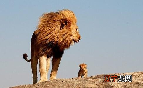 图 黄道十二星座之有关狮子座的原型是如何的?