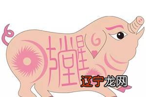 一下属猪的属相婚配表,和什么属相不配表好