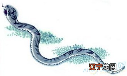 属蛇人和生肖属猴配不配，男孩肖属蛇般配吗