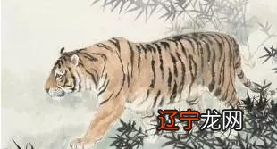 12生肖的婚姻中会,属虎和属鼠的人配对结果