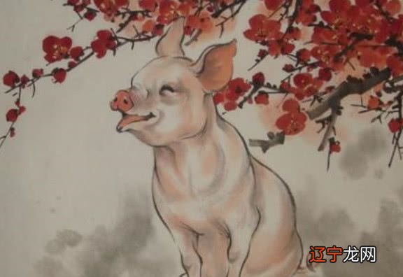 猪和牛婚配怎么样的生肖属相，一起不合的困难