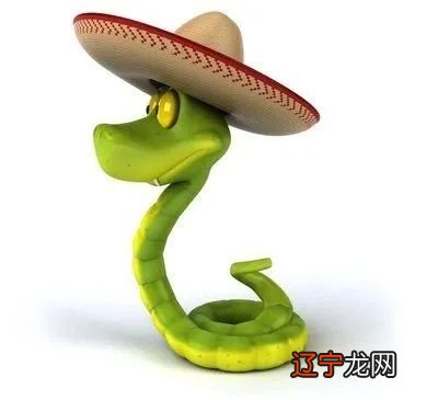 十二生肖中的生肖蛇和什么属相不合？相冲合