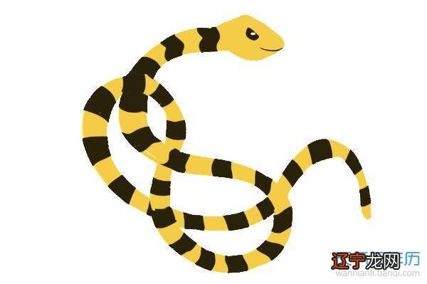 十二生肖中的生肖蛇和什么属相不合？相冲合