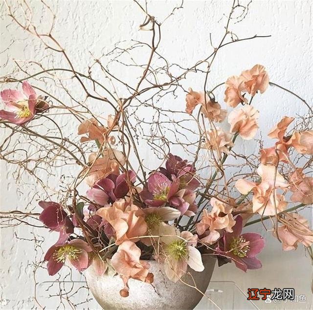 星座风象火象水象土星是哪些_sitezuixingzuo.net 星座四象火象_火象星座的爱情观