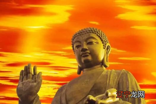 生肖虎和属相配好吗_生肖羊配生肖虎好不好_属虎的不配什么生肖