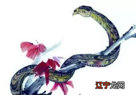 属打仗生肖有那几肖_家里不能有三个属蛇生肖吗_1972年属什么生肖属