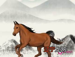 慈世堂：属马人的房子坐向1属马的人最佳房屋朝向