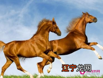 慈世堂:属马人的房子坐向1属马的人最佳房屋朝向