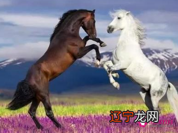 慈世堂：属马人的房子坐向1属马的人最佳房屋朝向