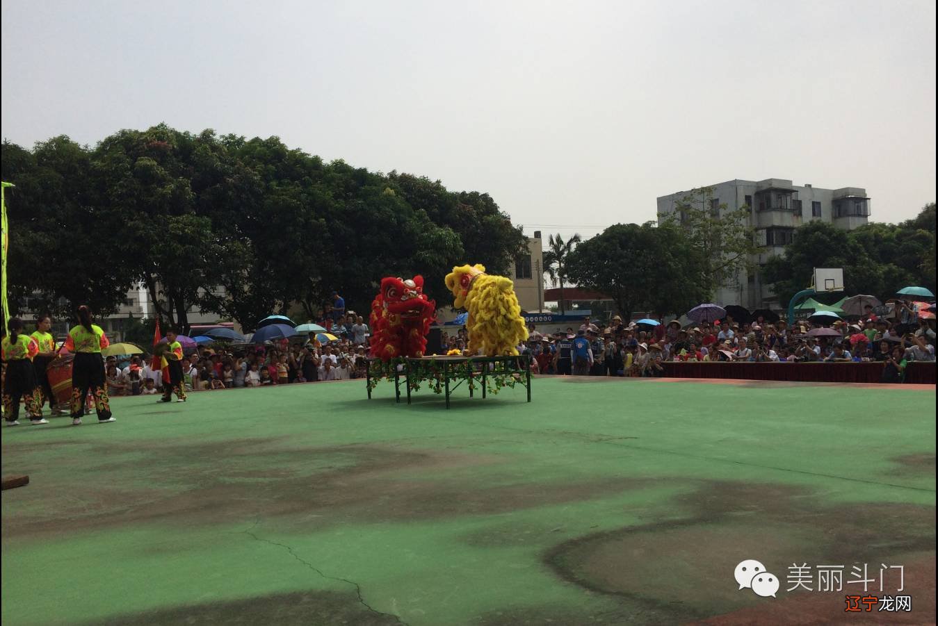 珠海大斗门!斗门区首届民俗文化展在莲洲莲洲镇举行!