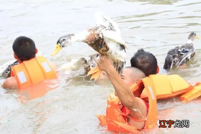 珠海大斗门!斗门区首届民俗文化展在莲洲莲洲镇举行!
