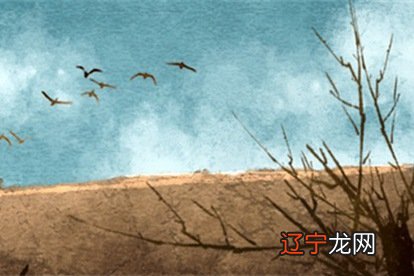 五行缺土的女人的婚姻 土命运势