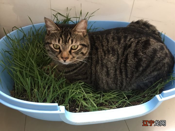 看房子风水要结合自己八字吗_风水对八字的作用_八字风水玄机鬼谷子算命术